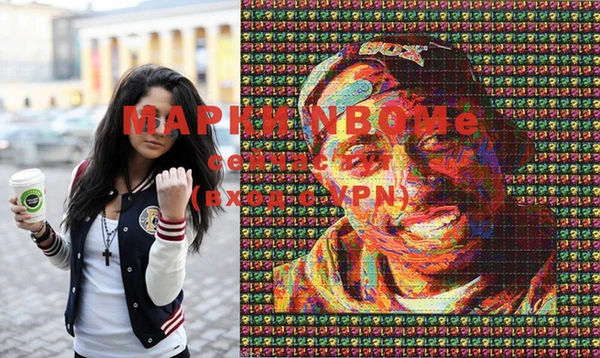 spice Богородицк