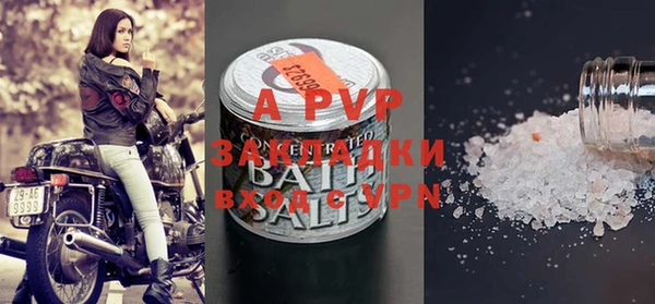 spice Богородицк