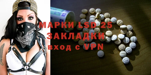 spice Богородицк