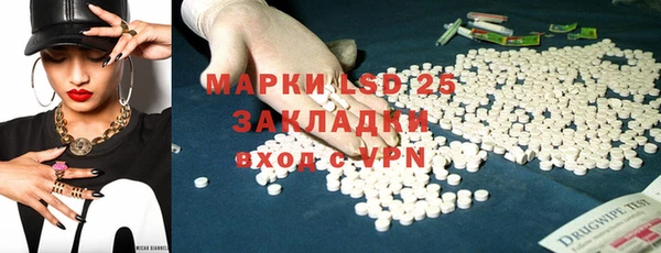 spice Богородицк