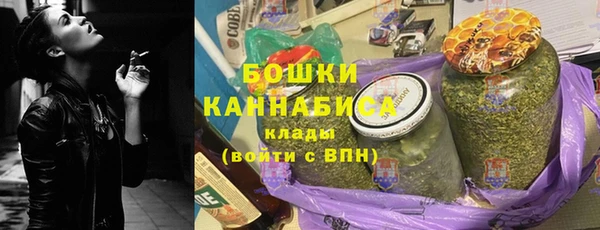 spice Богородицк